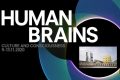 Human Brains. Il progetto della Fondazione Prada che coniuga Scienza e Cultura